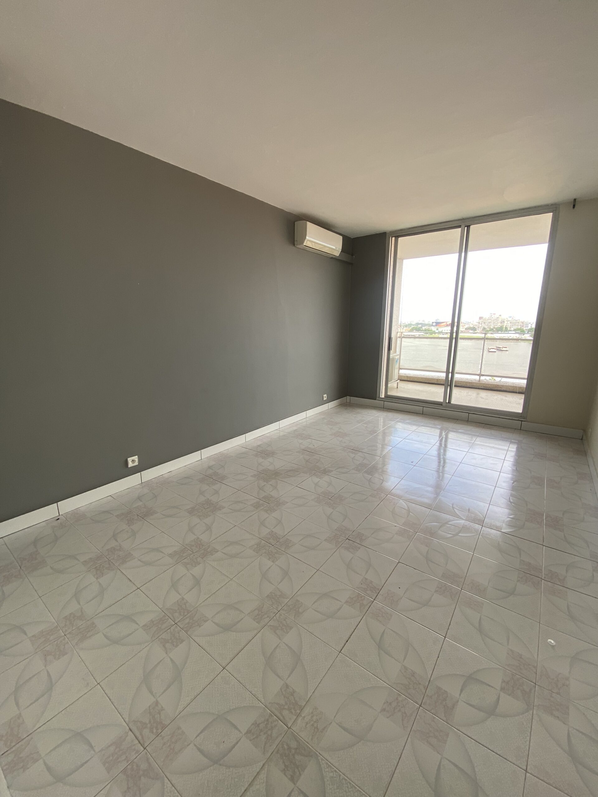 Appartement au plateau