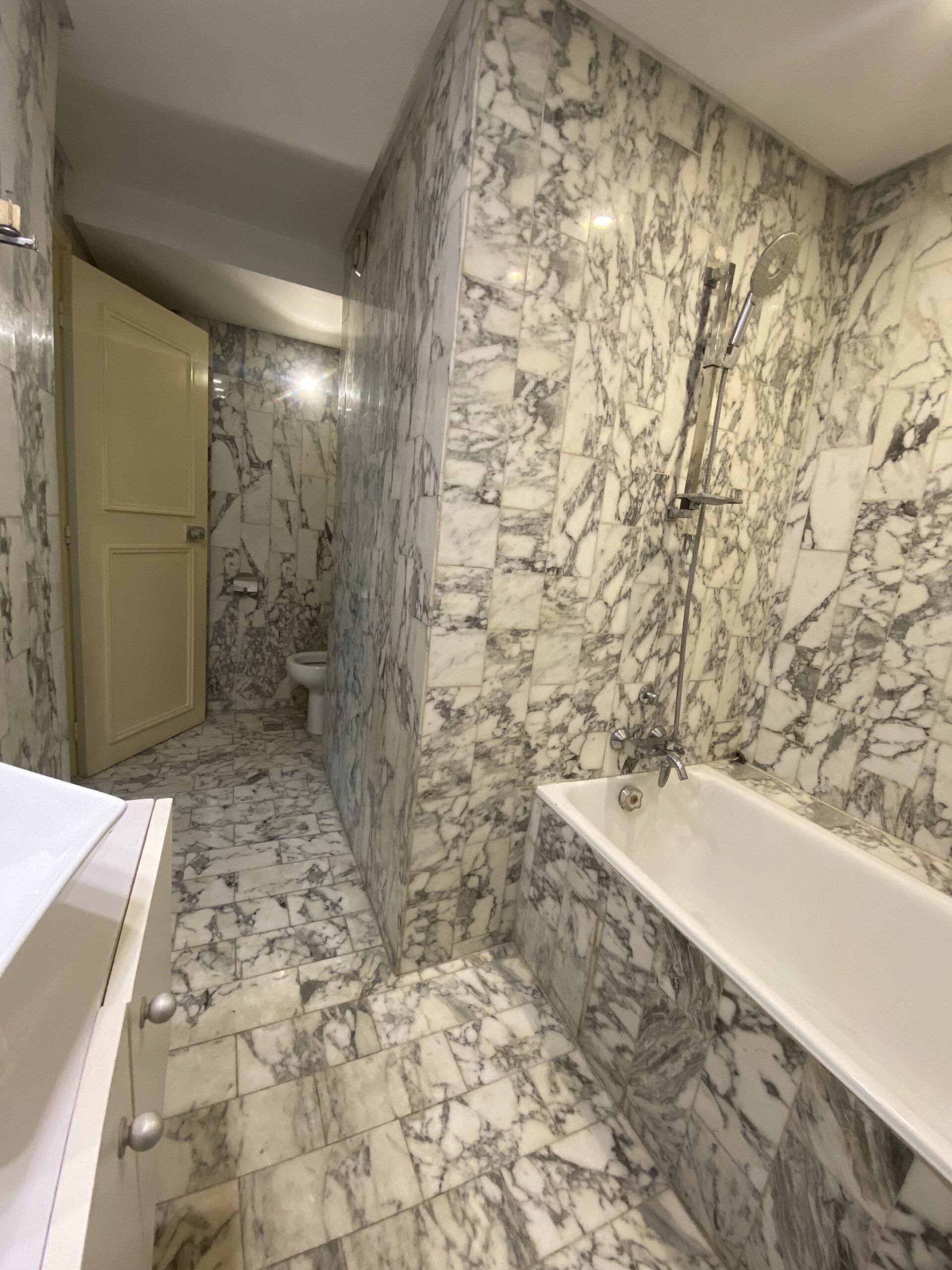 Appartement au plateau