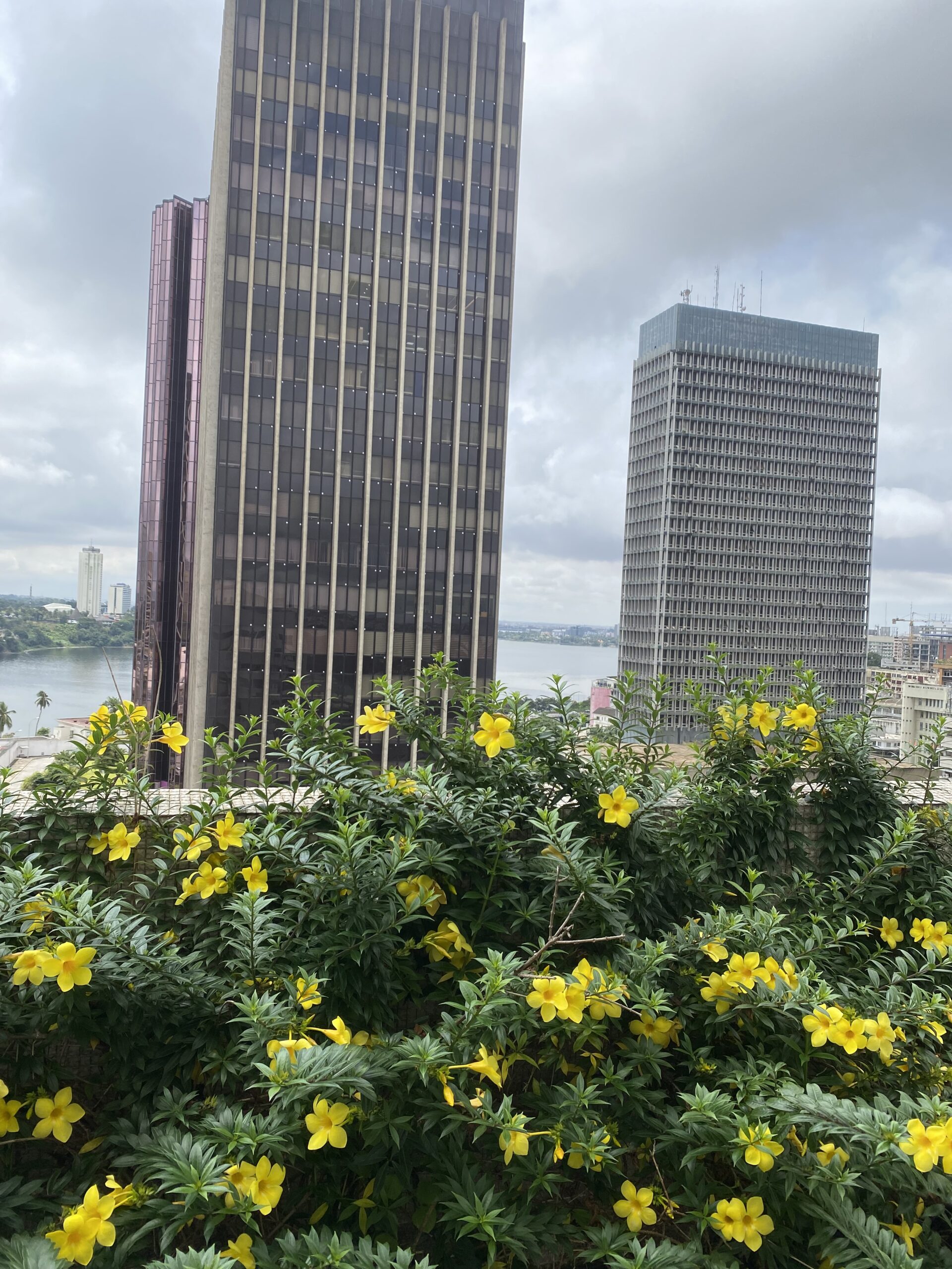Appartement au plateau