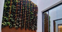 Villa avec piscine sur le toit