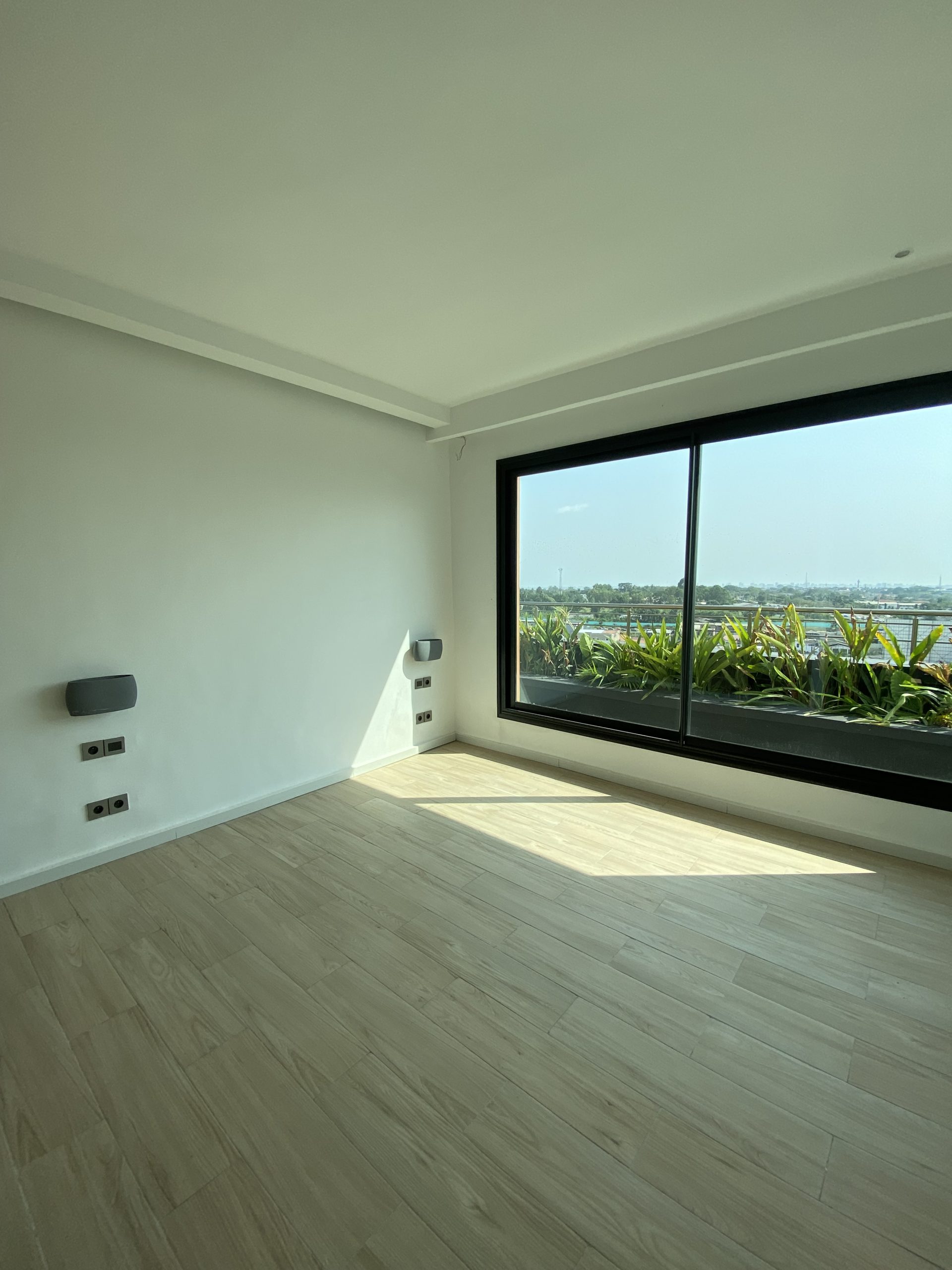 The most luxury penthouse