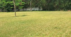 En bordure le lagune au Golf