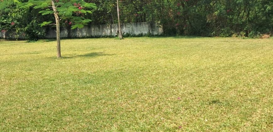 En bordure le lagune au Golf