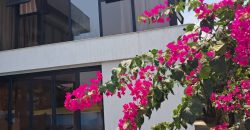 En bordure le lagune au Golf