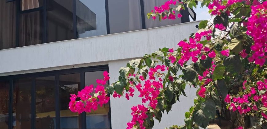 En bordure le lagune au Golf