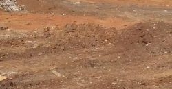 Rue des ambassades – un terrain très recherché