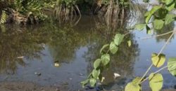 Terrain bingerville pieds dans l’eau