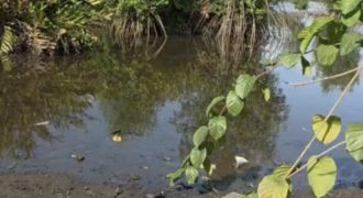 Terrain bingerville pieds dans l’eau